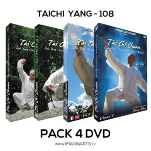 Pack 4 DVD vidéo Taichi Yang forme 108 avec Thierry Alibert