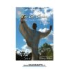 DVD Taichi Chuan Yang volume 3 avec Thierry Alibert - L'homme