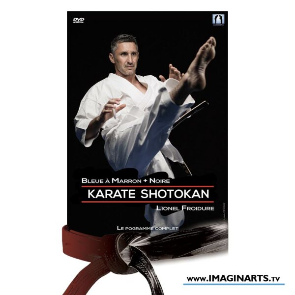 DVD Karate Shotokan - programme de progression de la ceinture blanche à noire – Image 6