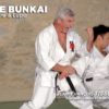 DVD Karate Bunkai avec Jean-François Tisseyre et Didier Lupo – Image 3