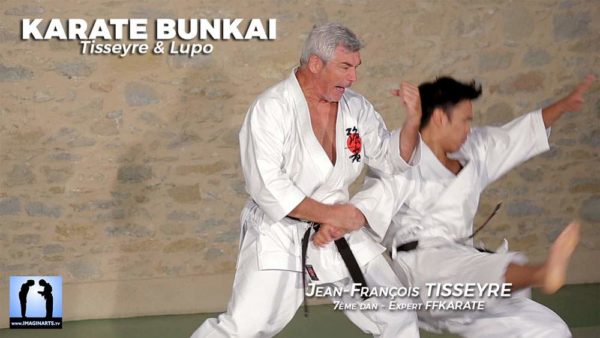 DVD Karate Bunkai avec Jean-François Tisseyre et Didier Lupo – Image 3