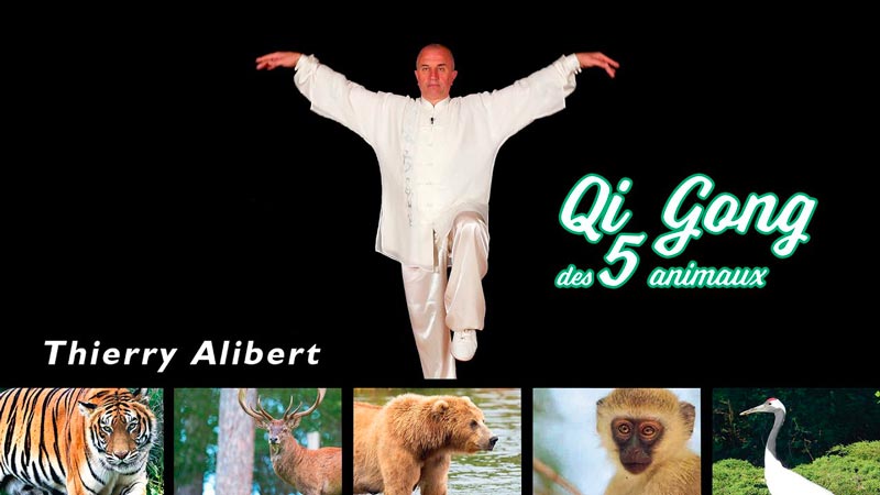 Qi Gong des 5 animaux - Imagin Arts Tv