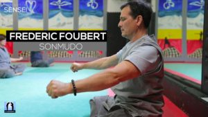 Sonmudo Frédéric Foubert - Interview