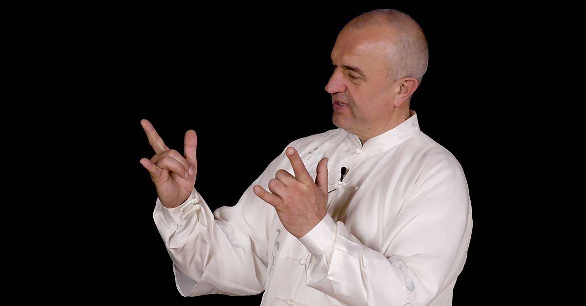 Le cerf - Qi Gong des 5 animaux - Imagin Arts Tv