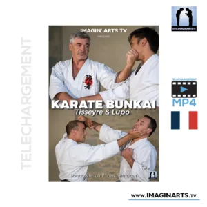DVD Karate Bunkai avec Jean-François Tisseyre et Didier Lupo - Téléchargement